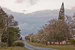 Hulett Drive