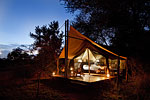 Rhino Walking Safaris