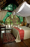 Kosi Forest Lodge