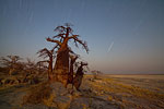 Star shower at Kubu Island