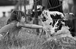 Loren and a calf